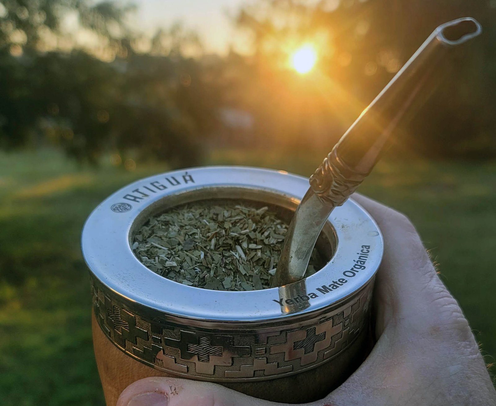 ¡Yerba mate orgánica: una experiencia que conecta con la naturaleza!